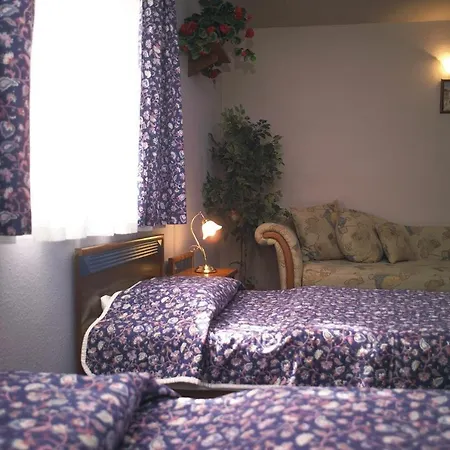 호텔 Aranysas Es Bungalows Alsoors 3*